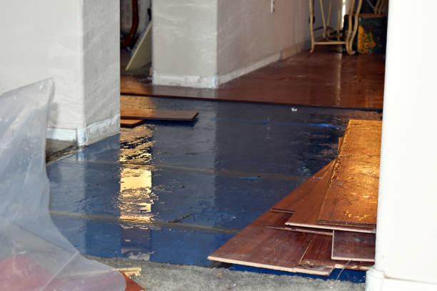 Professional Flood Damage Repair technician working in Nova, OH